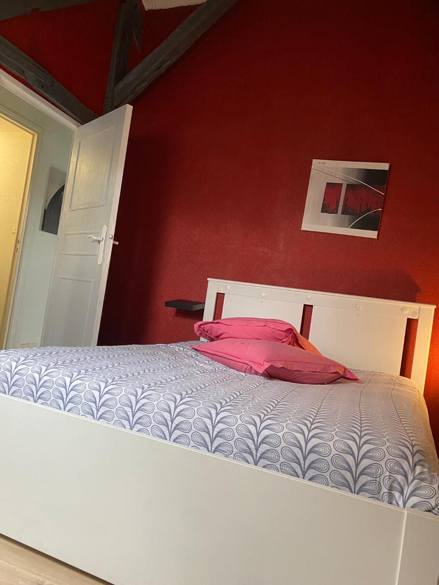 Apartmán Charmant Duplex Rue Colbert Tours Exteriér fotografie